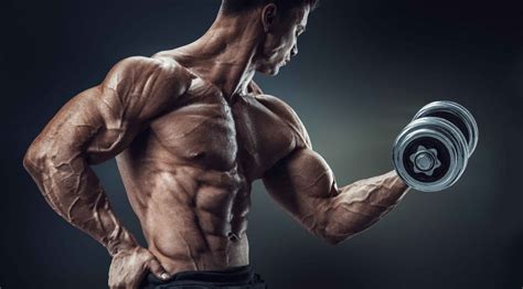 3 Science Based Training Strategies To Build Muscle Faster Dr Muscle