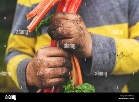 Manos Sucias Fotografías E Imágenes De Alta Resolución Alamy