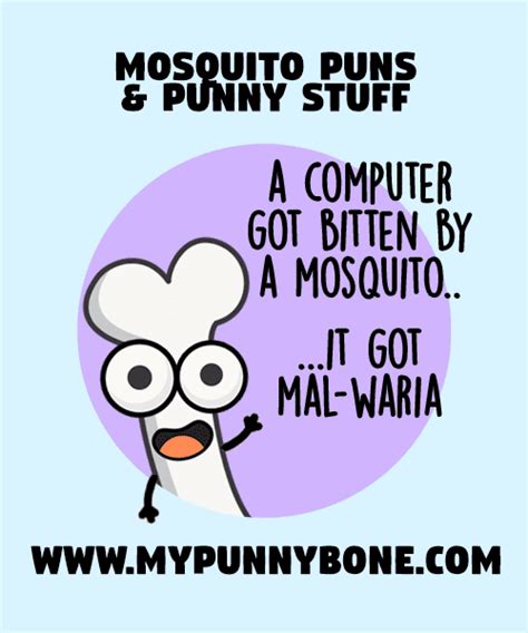 50 Mosquito Puns To Keep You Buzzing With Laughter Mypunnybone