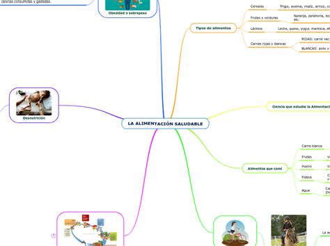 La AlimentaciÓn Saludable Mind Map