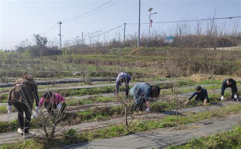 市供销社：免费送肥下乡 助力春耕生产大冶市人民政府