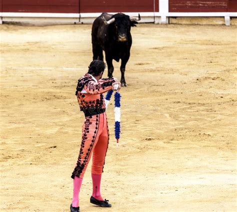 被触怒的公牛侵袭斗牛士 西班牙2017 07 25 2017年 Vinaros巨大的corrida De Toros 编辑类库存照片 图片