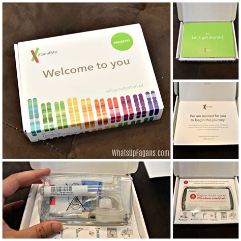 Heres What A 23andme Dna Kit Will Reveal About You Dna Kit Work