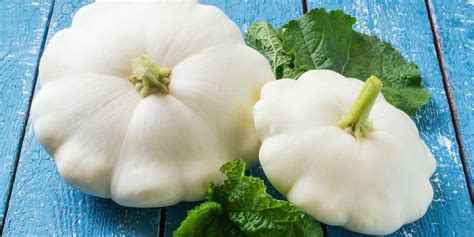White Squash Varieties The Essential Guide Gfl Outdoors