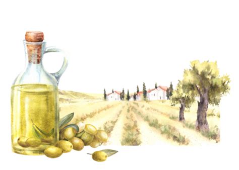 Olive Oil PNGs for Free Download