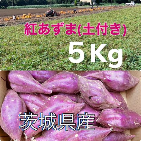 茨城県産紅あずま5kg 土付きさつまいも｜売買されたオークション情報、yahooの商品情報をアーカイブ公開 オークファン（aucfan