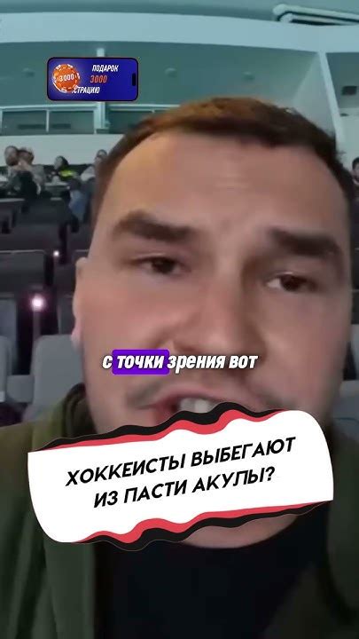 ПРЕДМАТЧЕВОЕ ШОУ «САН-ХОСЕ ШАРКС» - YouTube