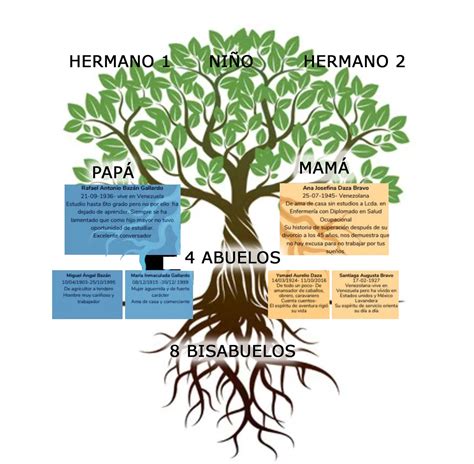 Consignas Para Hacer El Arbol Genealógico Del Niño Fundación Sonría