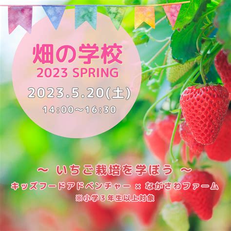 【農業体験・横浜】いちごハウスで収穫と農業について学ぶ「畑の学校」 子どもの未来へつながる食育ラボ