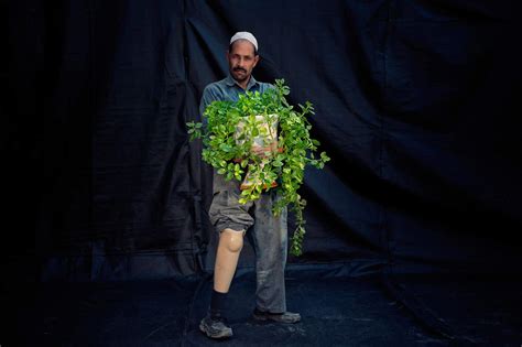 hossein fatemi portraits panos pictures