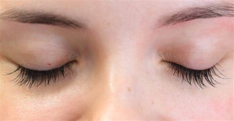 Eyelash Extensions Thickness How To Choose It Lash Masterclass