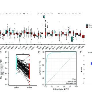 Ferredoxin Fdx Expression Prognostic Analysis Patients With Low