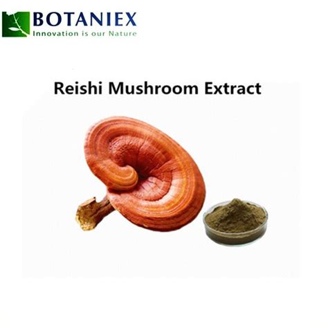 Ganoderma Lucidum Lingzhi Reishi Mushroom Extractpolysaccharide