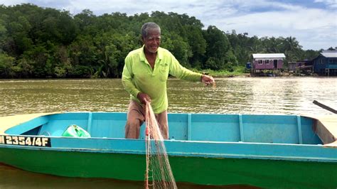 Mangrove Moon And The Tides The Story Of Progress In The Mumiang