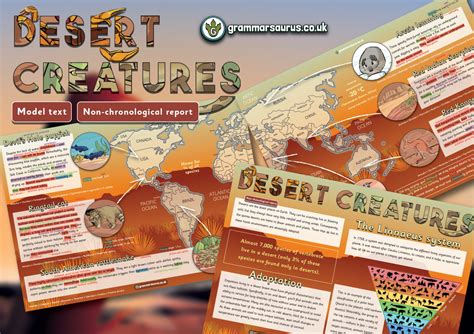 Year 5 Model Text Non Chronological Report Desert Creatures Gbsct