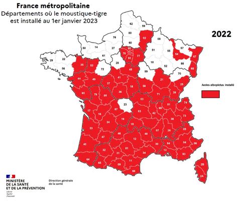 La prolifération du moustique tigre en France saccélère Brief me