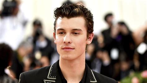 Shawn Mendes Sobre Su Sexualidad Resulta Hiriente