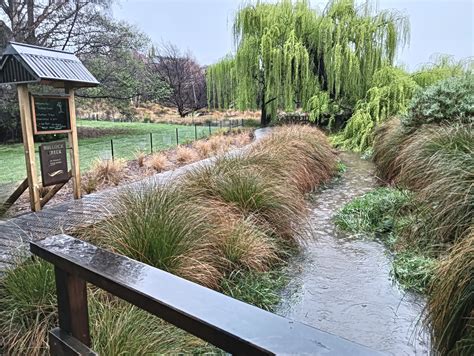 FLOODING 21 & 22 SEPTEMBER 2023 — Friends of Bullock Creek