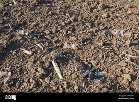 Campo cultivable listo para el trabajo agrícola de primavera Tierra