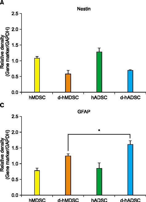 Figure From Comparison Of Human Muscle Derived Stem Cells And Human