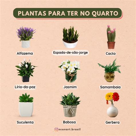 9 espécies de plantas para ter no quarto