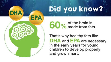 Dha And Brain Development Whats The Connection Amwaynow