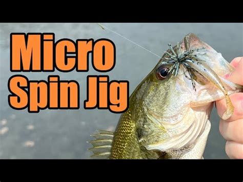 Rainbow Trout - Micro Spin Jig – Moondog Bait Co