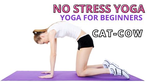 Stretching Yoga Cat Cow Pose Chakravakasana YouTube