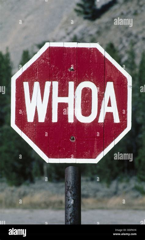 Whoa hi-res stock photography and images - Alamy