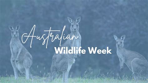 Australian Wildlife Week Only 1 Earth