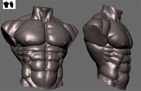 Body Builder Torso 3D Model CGTrader