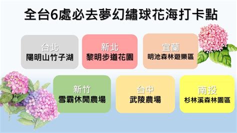 夢幻繡球花季來了！全台必去6個絕美繡球花打卡點