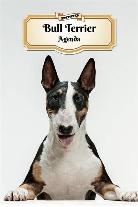 2020 Bull Terrier Agenda 107 Pagine Dimensioni DIN A5