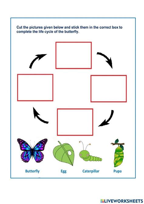 Life Cycle Of Animal Worksheet Live Worksheets Worksheets Library