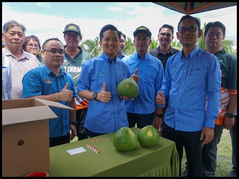 Petani Limau Bali Tenom Disaran Praktikan Amalan Standard Operasi