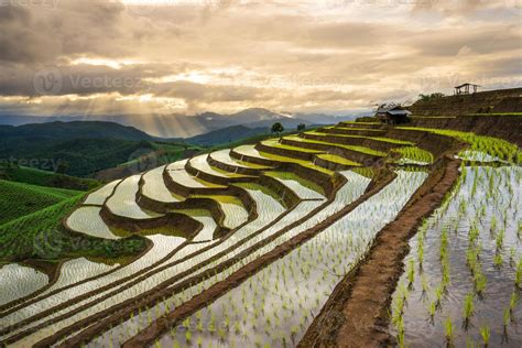 Terraced Rice Field In Mae Cham Chiangmai Thailand Stock