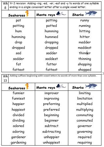 Year 4 Spelling Lists Differentiated For The Year Teaching Resources Hot Sex Picture