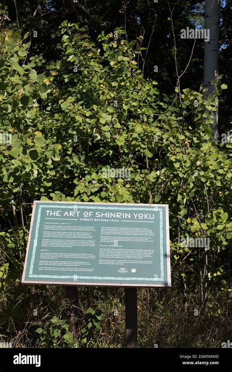 Silverwood Hi Res Stock Photography And Images Alamy
