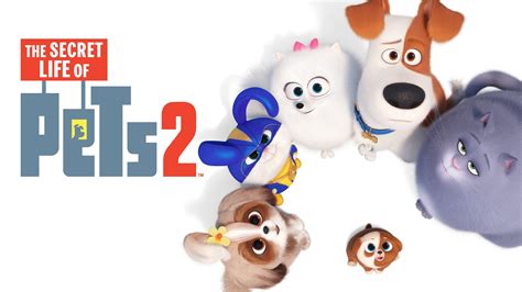 The Secret Life Of Pets Wallpapers Top Free The Secret Life Of Pets