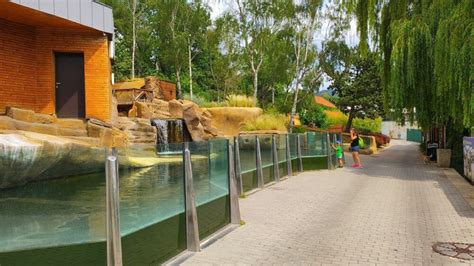 Zoo Ústí Nad Labem Intenzivní Setkávání Se Zvířaty