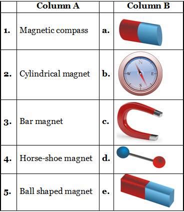 CBSE 6th Fun With Magnets Exercises