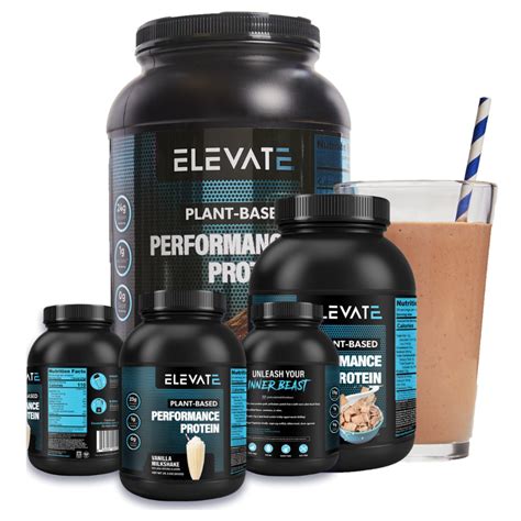 major muscle groups   body   functions