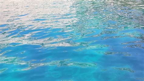 Eco Calanques Marseille All You Need To Know Before You Go