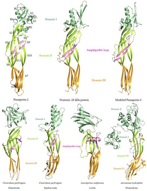 Toxins Free Full Text Structural Insights Into Bacillus