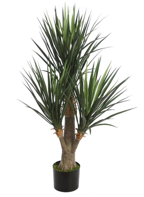 Plante De Yucca Artificielle En Pot Cm B Tu Fleurs Plantes