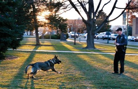 Twin Falls County sheriff touts K-9 unit effectiveness