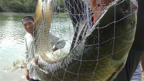 到底白天大魚好釣還是晚上大魚好釣？用實踐和科學證明 每日頭條