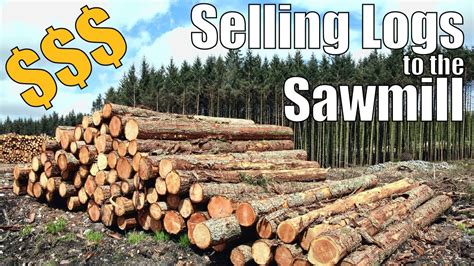Starting our logging operation - YouTube