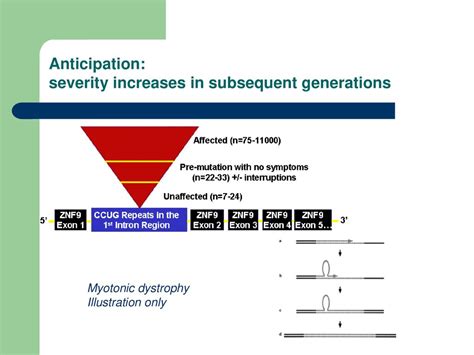 Patterns Of Single Gene Inheritance Chapter 7 Genetics In Medicine