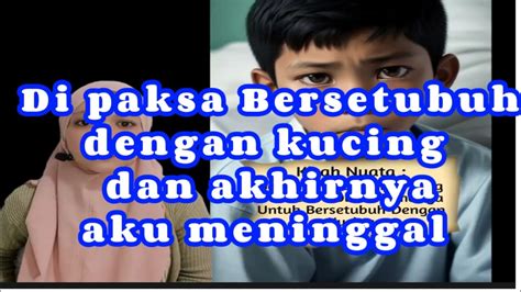 Aku Di Buly Di Paksa Bersetubuh Dengan Kucing Dan Aku Depresi YouTube